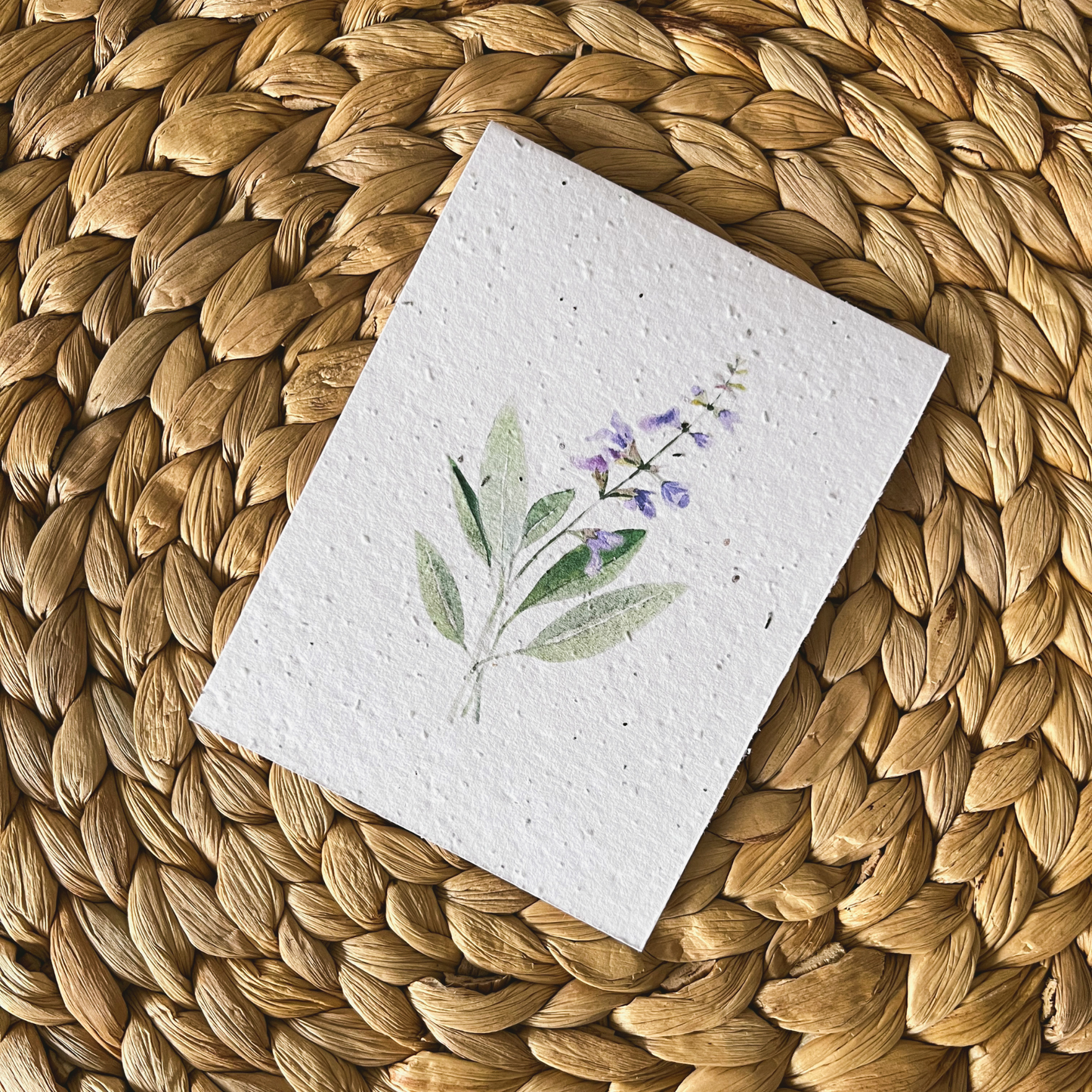 Ensemble Infusion Blanc neige | blanc sauge