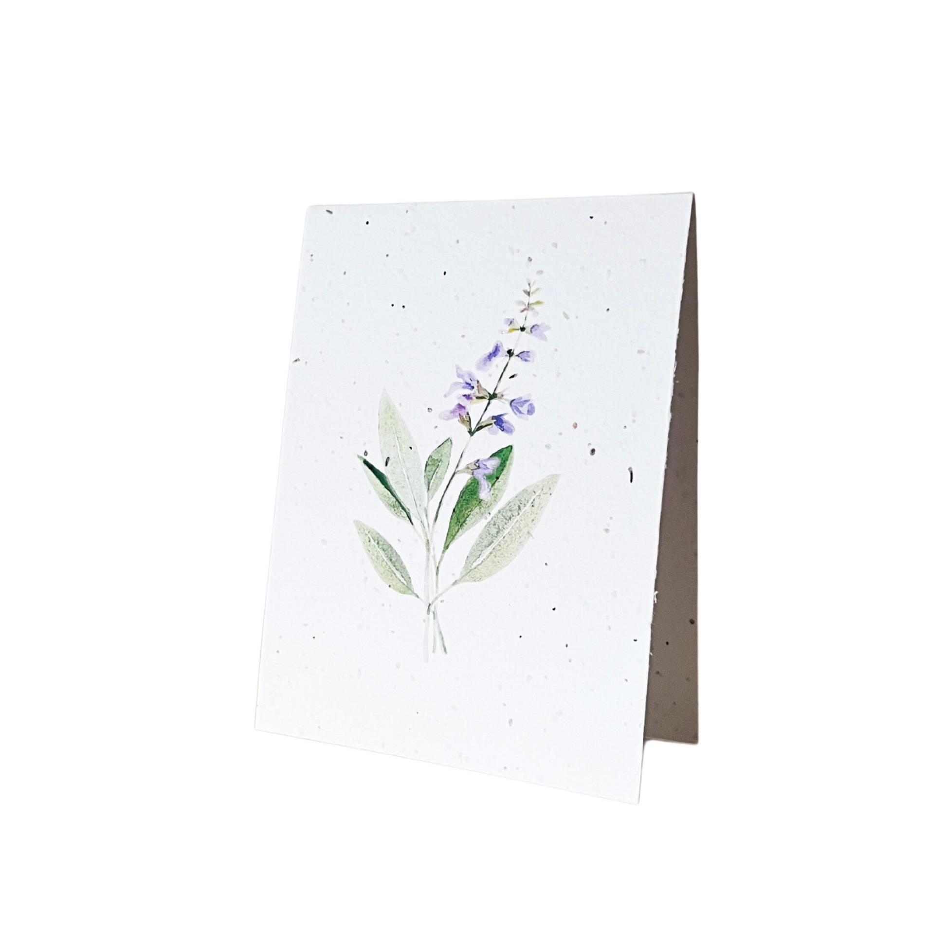 Carte ensemencée sans texte | blanc sauge
